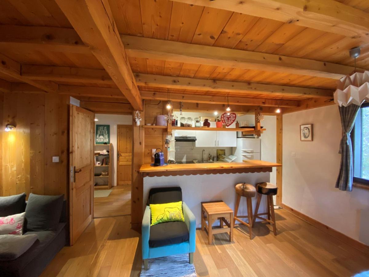 Appartement Cosy Au Pied Du Mtblanc Σαμονί Εξωτερικό φωτογραφία