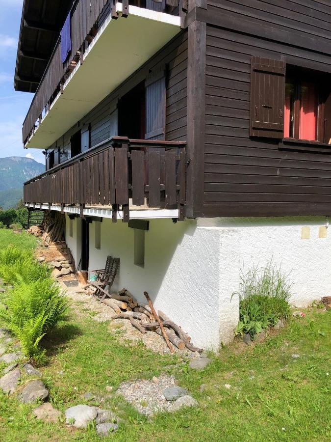 Appartement Cosy Au Pied Du Mtblanc Σαμονί Εξωτερικό φωτογραφία