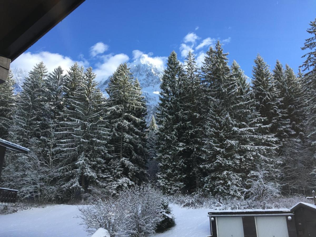Appartement Cosy Au Pied Du Mtblanc Σαμονί Εξωτερικό φωτογραφία
